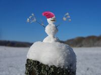 kleine Schneefigur mit ausgebreiteten Armen aus trockenen Wildpflanzen und pinkfarbener Mütze vor blauem Himmel